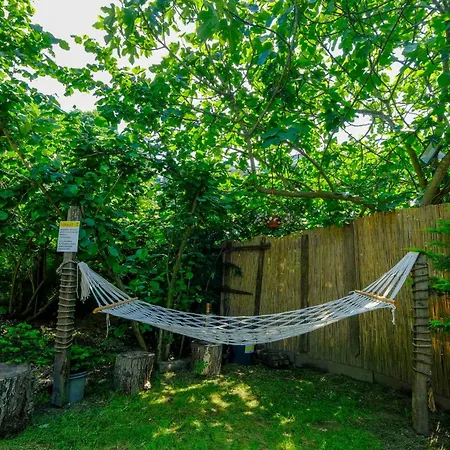 Sapancakelebekvadibungalov Sapanca