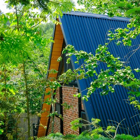Sapancakelebekvadibungalov Σαλέ